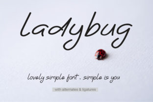 Ladybug: A Handwritten Font for Personal Design