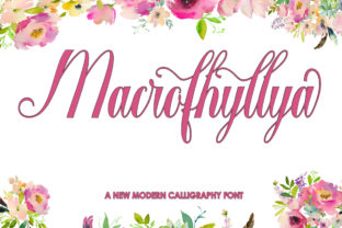 Macrofhyllya Script: A Modern Brush Font for Creative Expression
