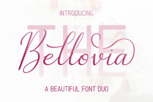 The Bellovia Duo: A Refined Combination for Elegant Design